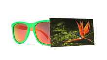 Load image into Gallery viewer, Bird of Paradise