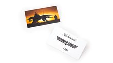 Load image into Gallery viewer, Danger Zone
