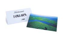 Load image into Gallery viewer, Everglades