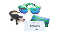 Load image into Gallery viewer, Everglades